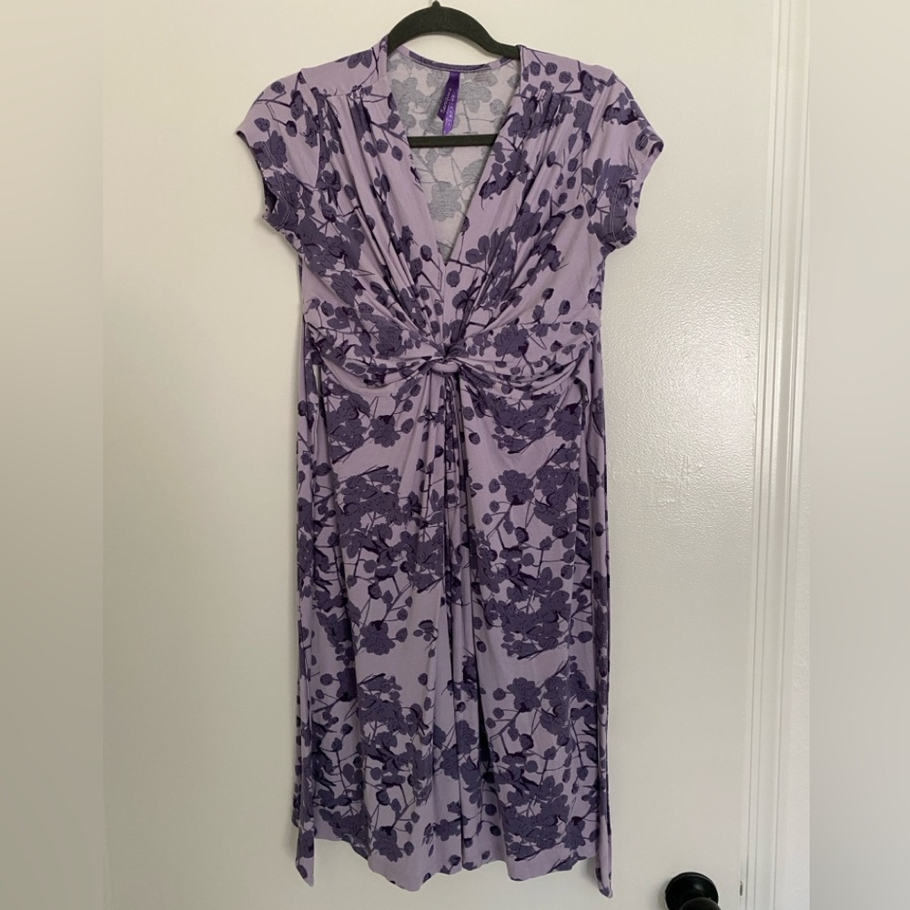 Seraphine maternity dress- size 4